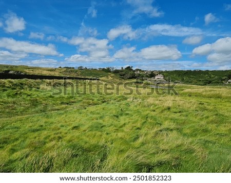 Landscape Annestown Southeast Ireland Summer