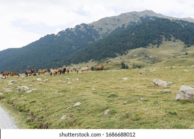 Landscape Aran Valley Lleida Catalunya Spain