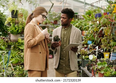 Landscape Architect Using Tablet Pc And Choosing Plants For Customer In Flower Shop