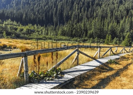 Landscape of area of Tiha Rila (Quiet Rila), Rila mountain, Bulgaria