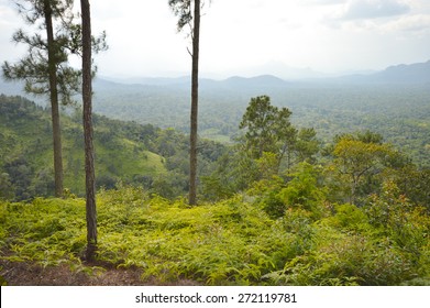 Landscape Around Cockscomb Basin Wildlife Sanctuary Seen From The Top Of Bens Bluff Trail, Belize. Travel And Nature Of Central America