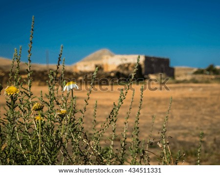 Fuerteventura