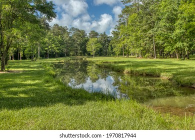 Landscape Around Washington Parish In Louisiana