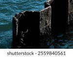 Landscape art texture of blue sea surface and rusty old steel sheet pile in harbor.