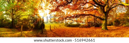 Similar – Image, Stock Photo autumn 1 Human being