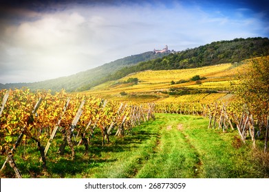 Landscape With Autumn Vineyards Of Wine Route. France, Alsace