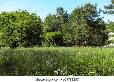 Landscape background.