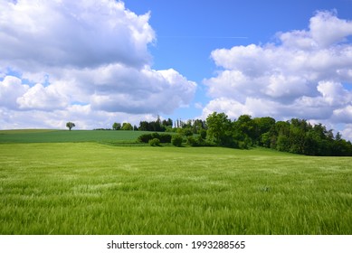 Landscape In Bavaria With Rolling Green Hills In Front Of A Blue Sky With Large Clouds