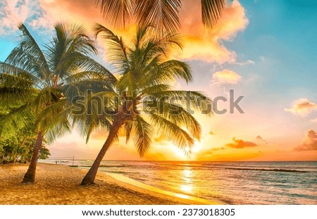 Landscape beach paradise resort in summer
