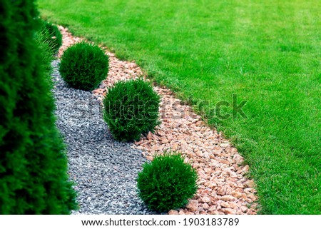 Landscape bed of garden with wave ornamental growth cypress bushes gravel mulch by color rock way on a day spring park with green lawn meadow close up details, nobody.