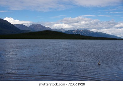 Landscape Between Kluane Lake And Beaver Creek In Yukon, Canada