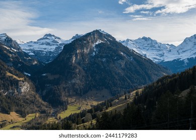 A landscape between Winter and Spring. In the transitional embrace between winter's icy grip and spring's gentle warmth, a landscape of subtle transformation unfolds