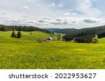 Landscape in Black Forest with traditional farm house and flower meadow, Jostal near Titisee-Neustadt, Baden-Wuerttemberg, Germany