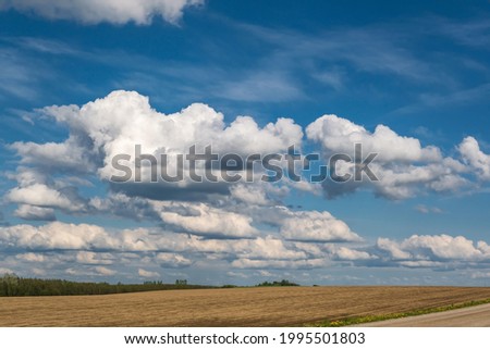 landscape with Blue sky background and big white tiny stratus cirrus striped clouds