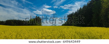 Landscape, blue sky with clouds and field with yellow rapeseed flowers, high-voltage power lines