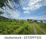 a landscape of blue sky with white cloud meets lake and paving road in countryside