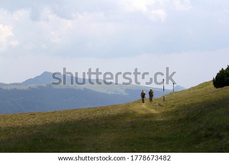 Similar – Foto Bild Südkarpaten Umwelt Natur