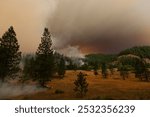 The landscape burns as the McFarland Fire moves through the Shasta-Trinity National Forest in California on August 2nd, 2021. 