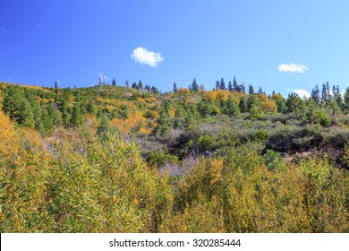 Landscape In The Californian Sierra Nevada.