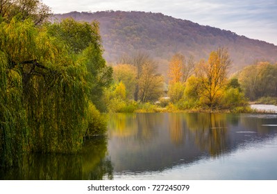 paysage avec rivière calme en automne. beau paysage montagneux avec feuillage rouge et jaune
