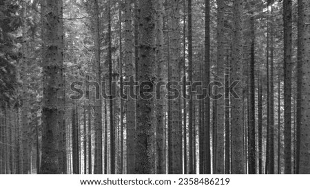 Similar – Foto Bild Sauerland Umwelt Natur