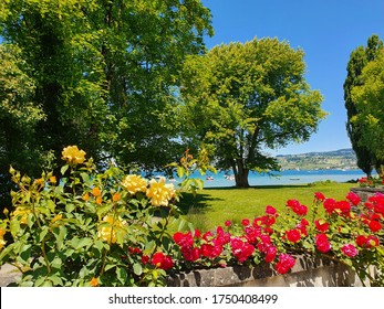 Landscape in the canton of Zurich. Park in the canton of Zurich