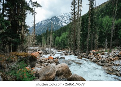 Landscape captured while trekking through the National Park in China