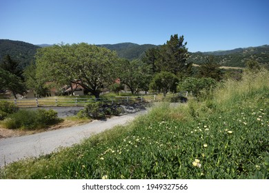 The Landscape Of Carmel Valley, California.