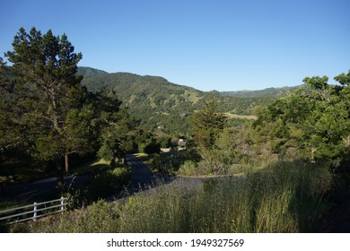 The Landscape Of Carmel Valley, California.