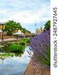 landscape of Carroll creek in Frederick maryland