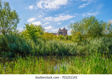 Landscape with a castle in sunlight in summer
