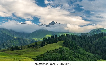 Landscape With Clouds, Mountains And Cypress Forest