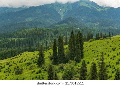 Landscape With Clouds, Mountains And Cypress Forest