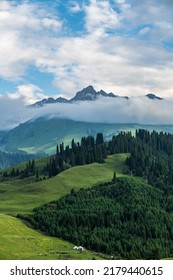 Landscape With Clouds, Mountains And Cypress Forest