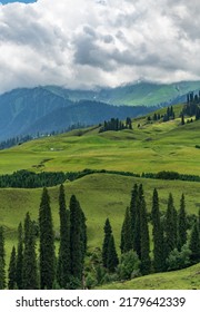 Landscape With Clouds, Mountains And Cypress Forest