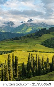 Landscape With Clouds, Mountains And Cypress Forest