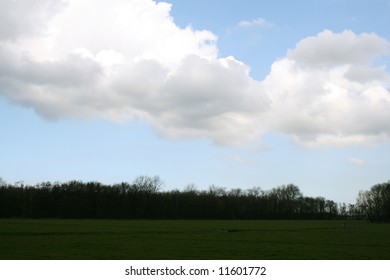 Landscape with clouds over a field with trees