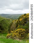 Landscape in Clyde Muirshiel Regional Park, near Greenock, Inverclyde, Scotland