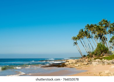 Landscape Coast Indian Ocean Sri Lanka Stock Photo 766010578 | Shutterstock