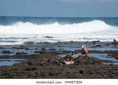 Landscape Of The Coast And Man With Dog On The Reefs Of Punta Del Hidalgo, Tenerife, Canary Islands