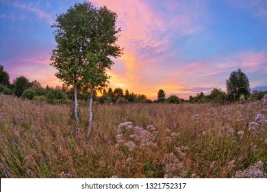 Landscape with coloful sunset in summer field with flowers - Shutterstock ID 1321752317