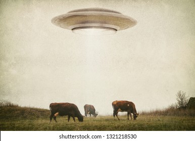 Landscape with cows and UFO. Photo with 3d rendering element and vintage film camera effects