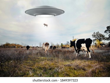 Paisagem com vacas e OVNI. Foto com elemento de renderização 3d 