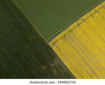 Landscape Of Cultivated Fields From A Bird's Eye View. Agricultural Landscape From The Air. Abstract Background. Rapeseed Fields