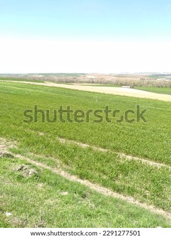 landscape of cultivated and uncultivated land in the countryside