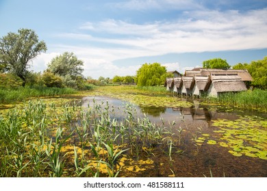 Landscape In Danube Delta, Romania.