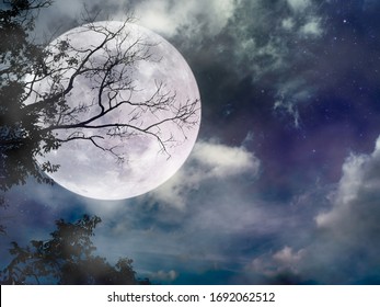 130,228 Moon tree landscape Images, Stock Photos & Vectors | Shutterstock