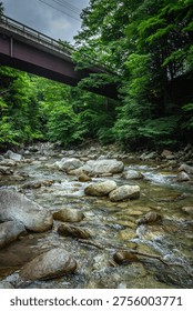 A landscape of a deep forest stream and a red bridge, the coolness of summer and man-made structures.