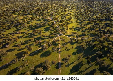 Landscape In Dehesa De La Luz. Extremadura. Spain.