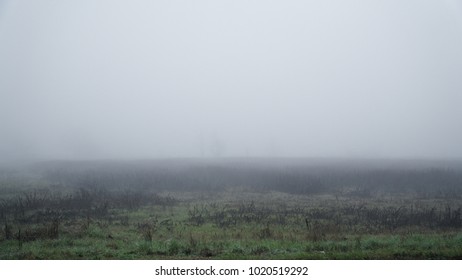 Landscape of dense fog in the field and silhouette of trees in warm winter. - Powered by Shutterstock